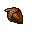 acorn