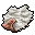 white deer skin