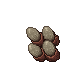 insectoid eggs