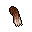 foxtail