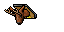 deer trophy