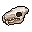 werebear skull