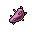 prickly pear