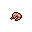 shrimp