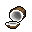 coconut