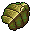 beetle carapace