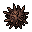 thorn seed