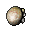 white mushroom