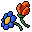 wild flowers
