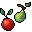 fresh fruit