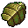 beetle carapace