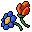 wild flowers