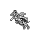 The Lily Of Night